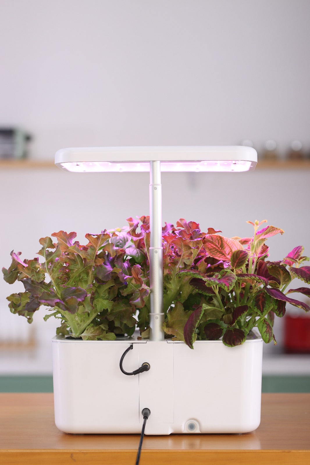 Breezy Grow