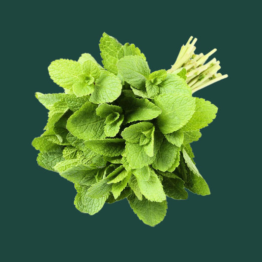 Mint Seeds