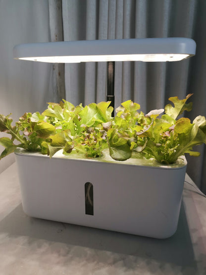 Breezy Grow
